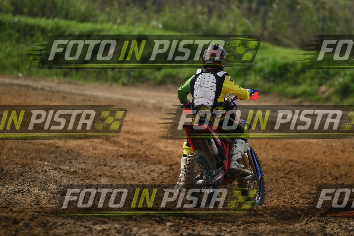 BETA · DSH_2196