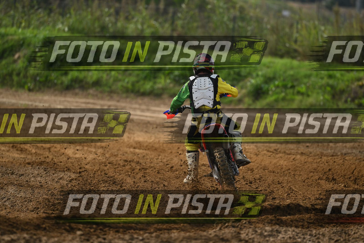 BETA · DSH_2198