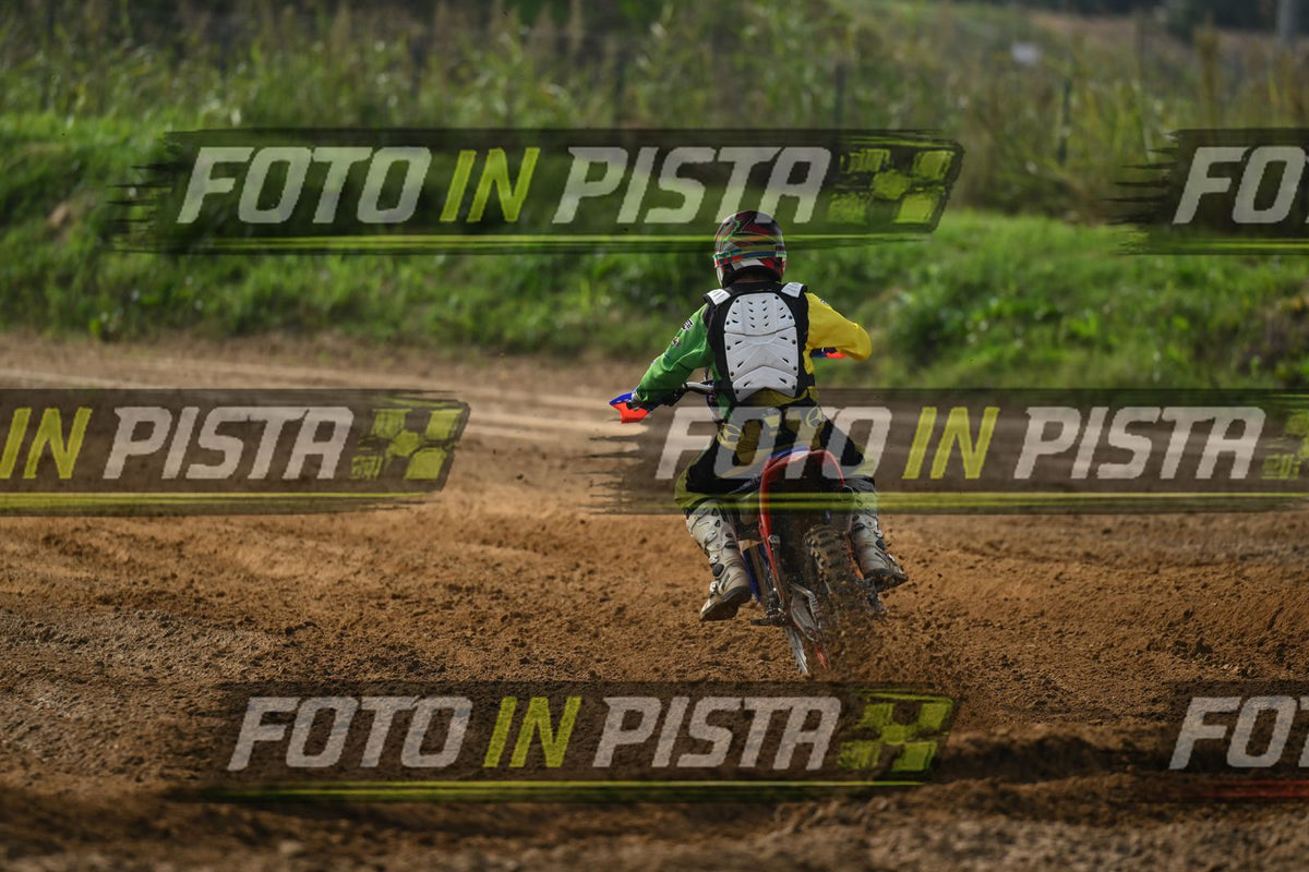 BETA · DSH_2199