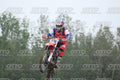 376 · DSH_2199