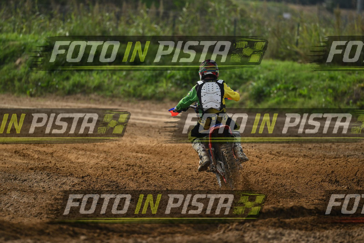 BETA · DSH_2200
