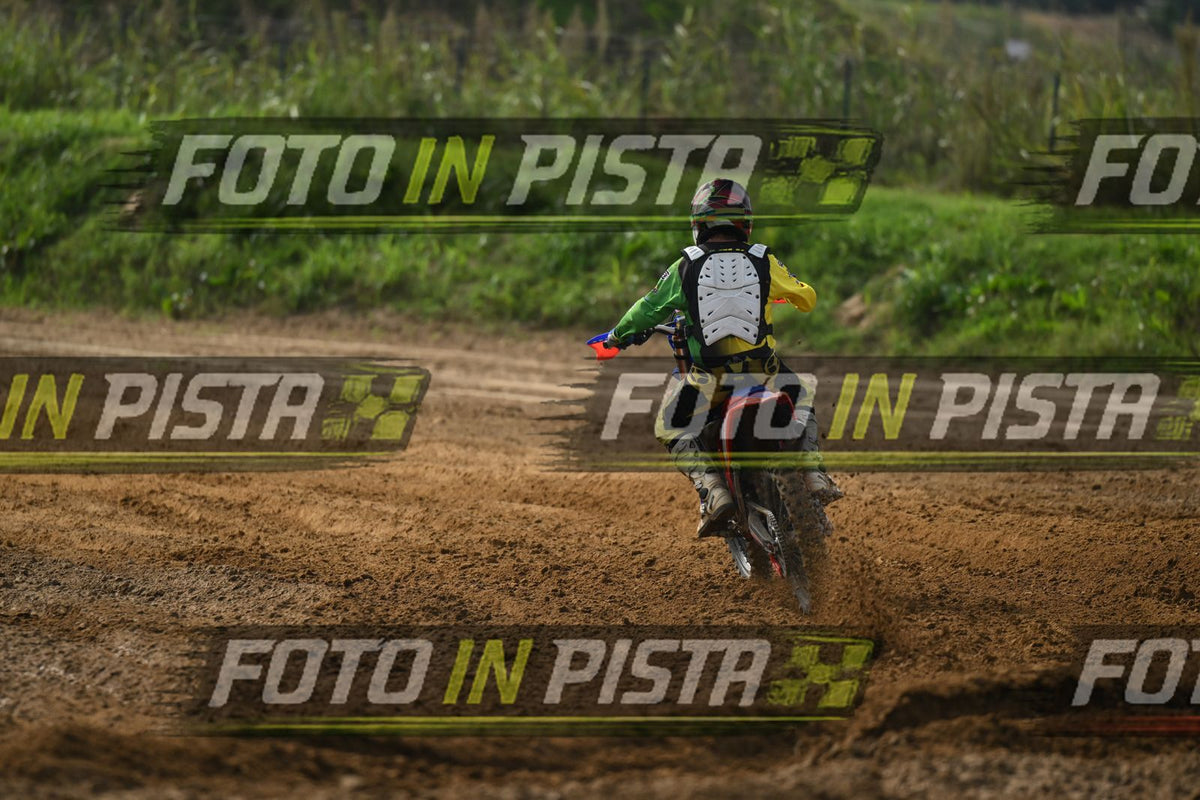 BETA · DSH_2202