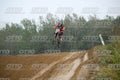 31 · DSH_2206