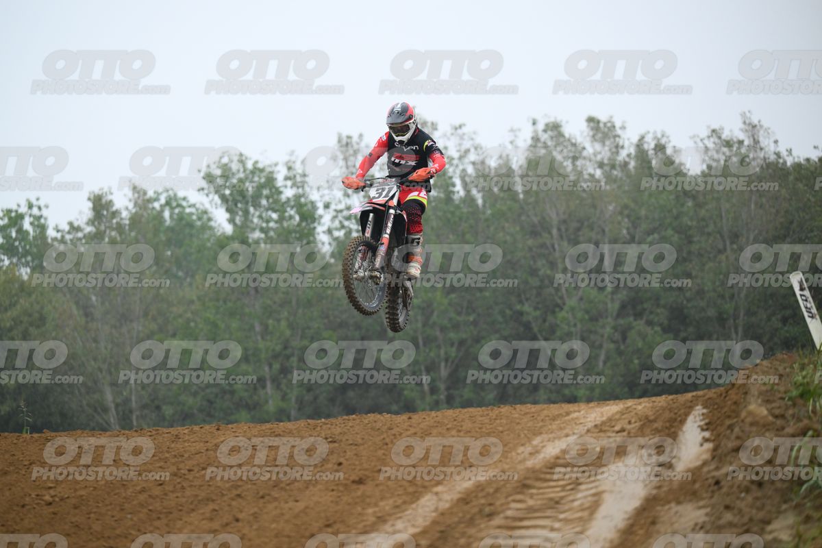 31 · DSH_2207