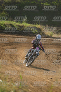 53 · DSH_2208