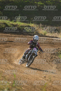 53 · DSH_2209