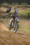 53 · DSH_2214