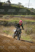 808 · DSH_2221