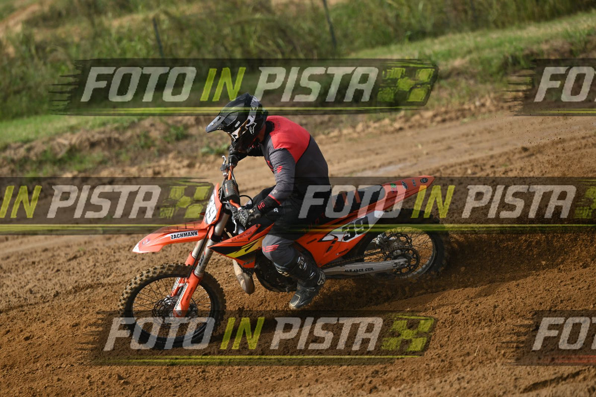 39 · DSH_2242