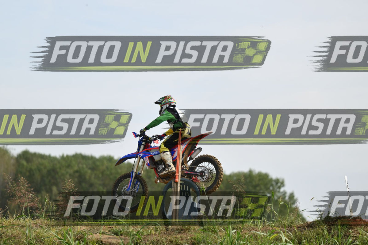 BETA · DSH_2261