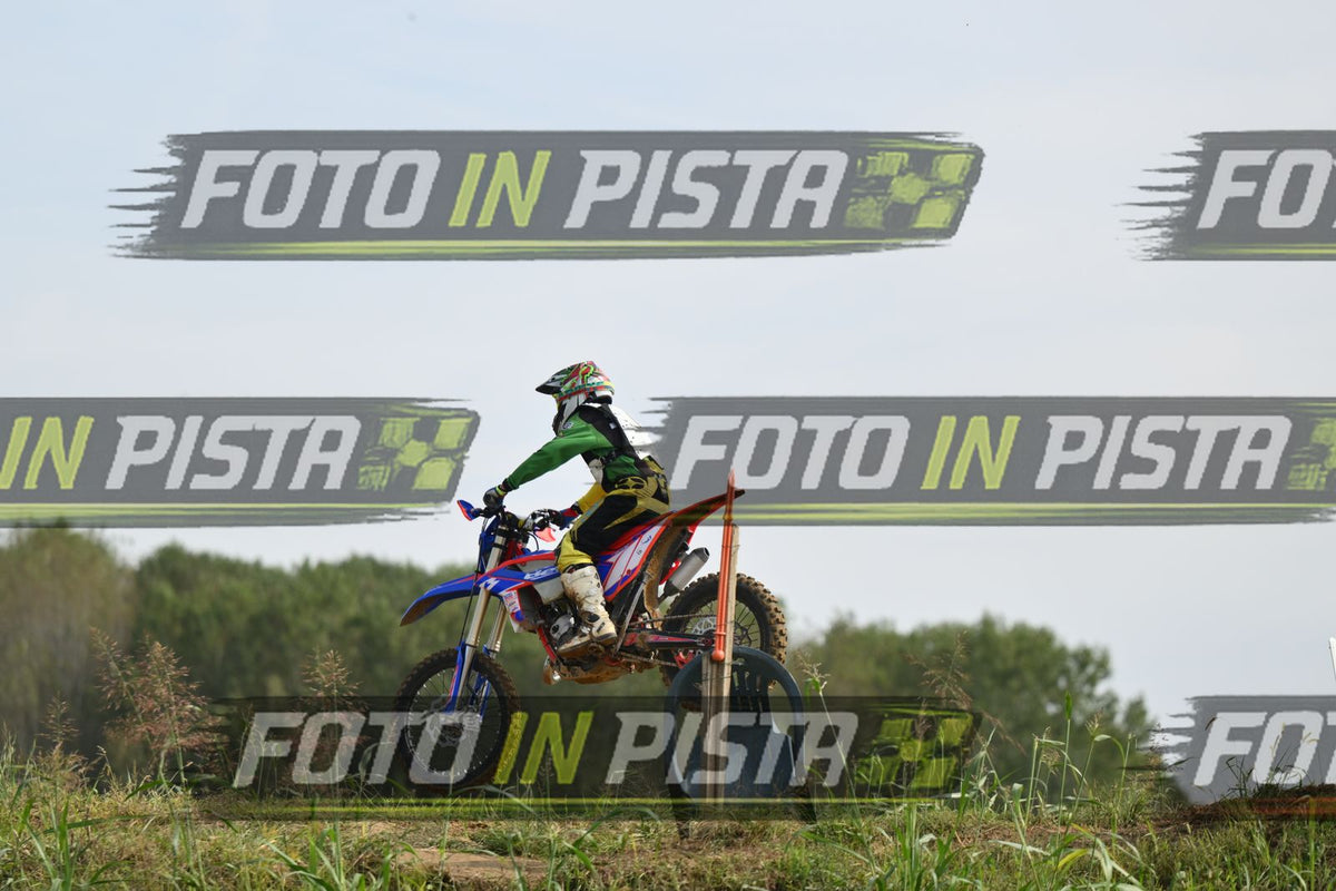 BETA · DSH_2262