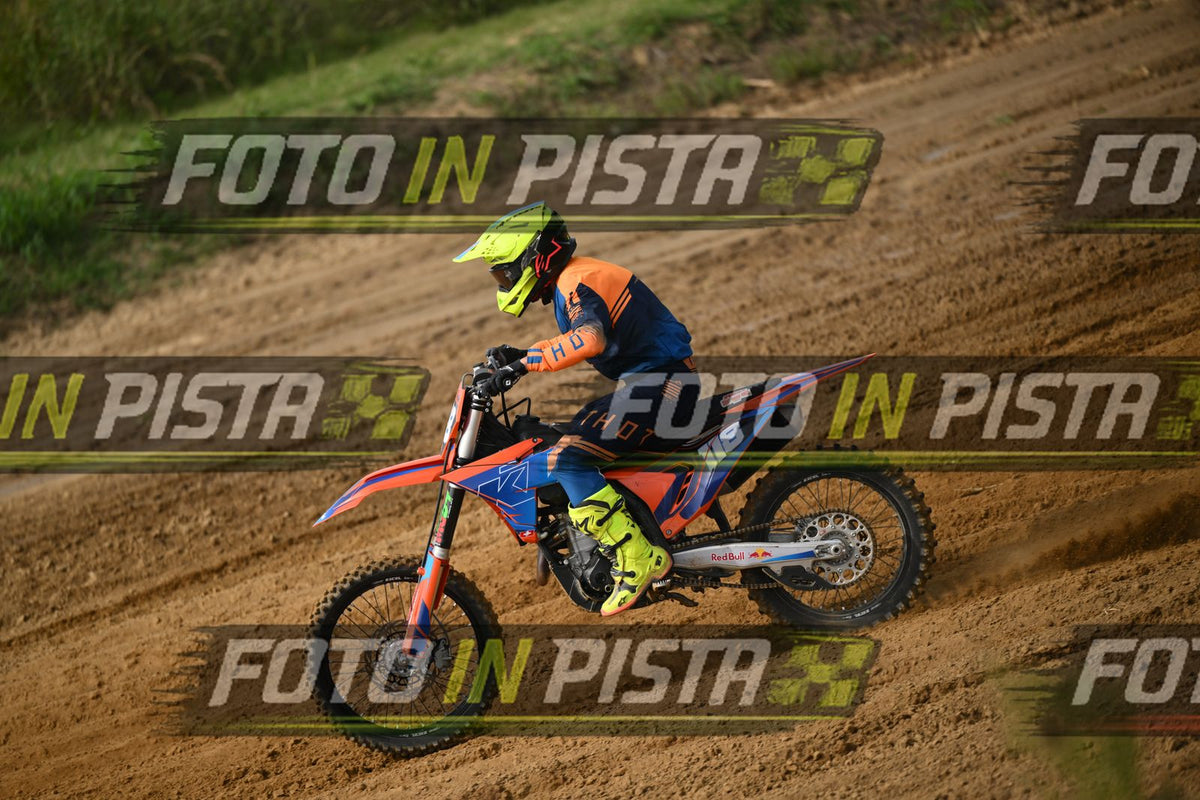 118 · DSH_2317