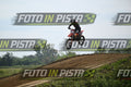 39 · DSH_2329