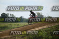 39 · DSH_2332