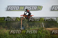 39 · DSH_2341