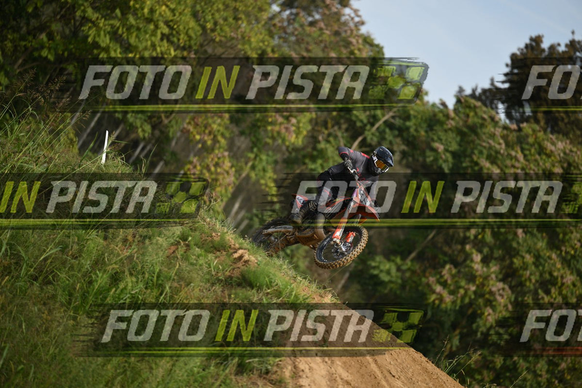39 · DSH_2355