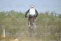 169 · DSH_2375