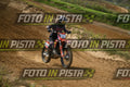 39 · DSH_2379