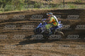 QUAD BLU 88 · DSH_2388-B