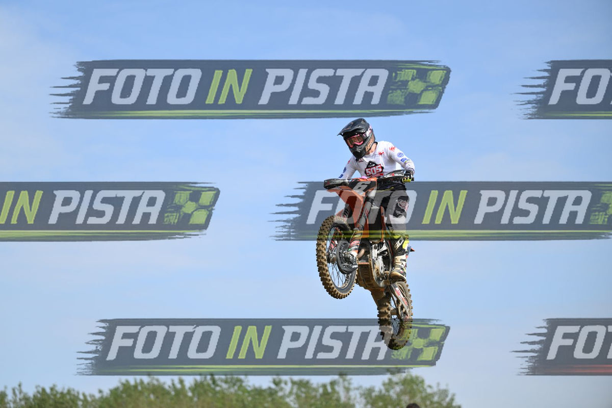 6 · DSH_2394
