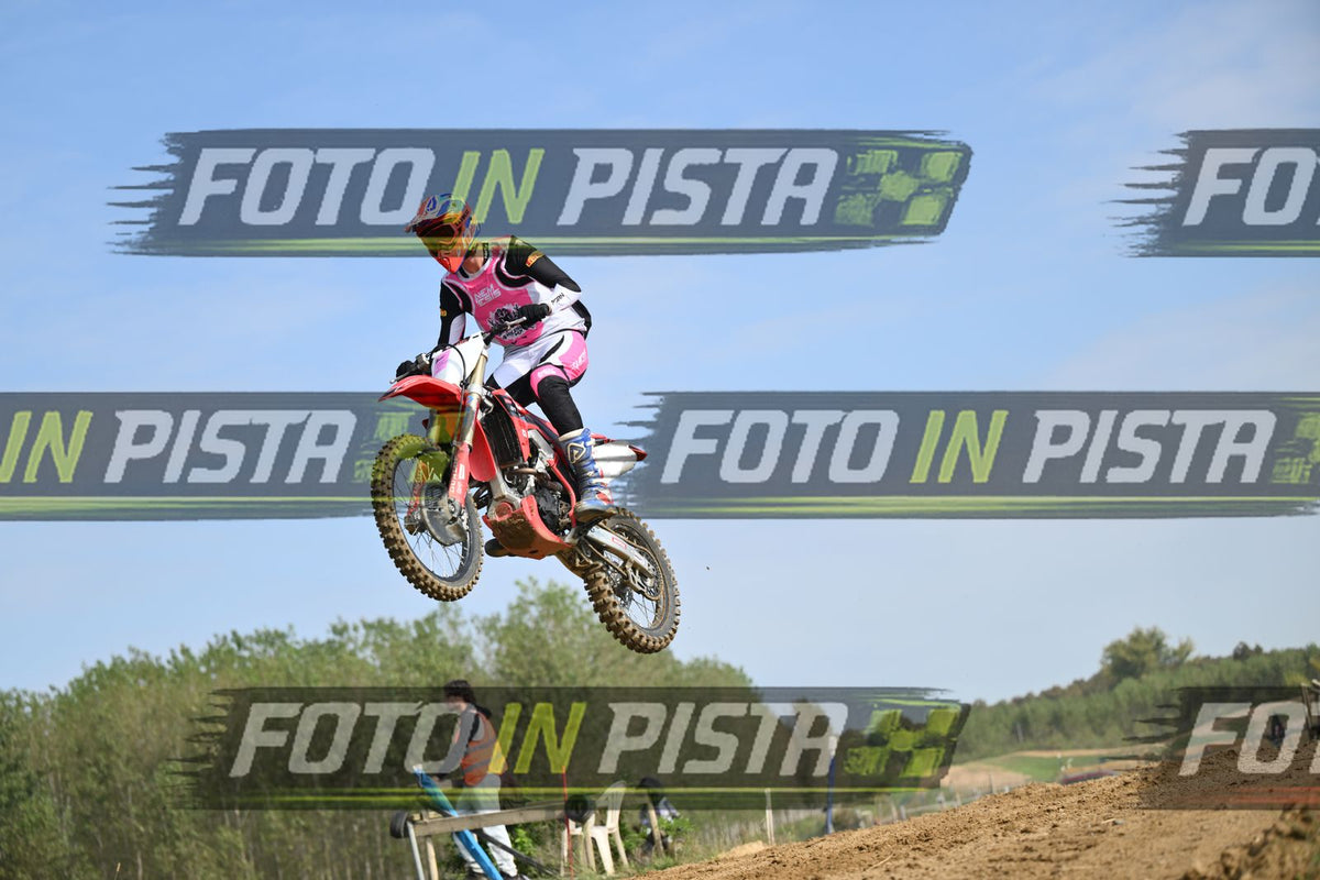 HONDA - PINK WHITE BLACK SHIRT · DSH_2420