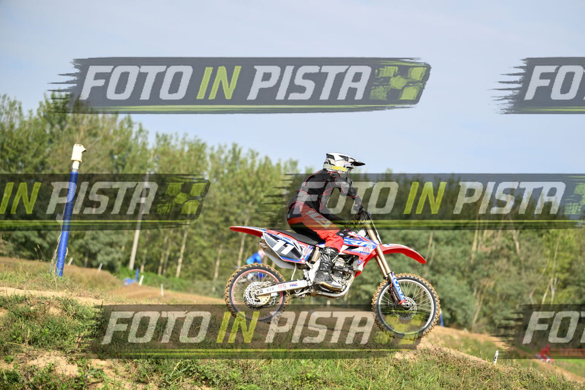 11 · DSH_2436-2