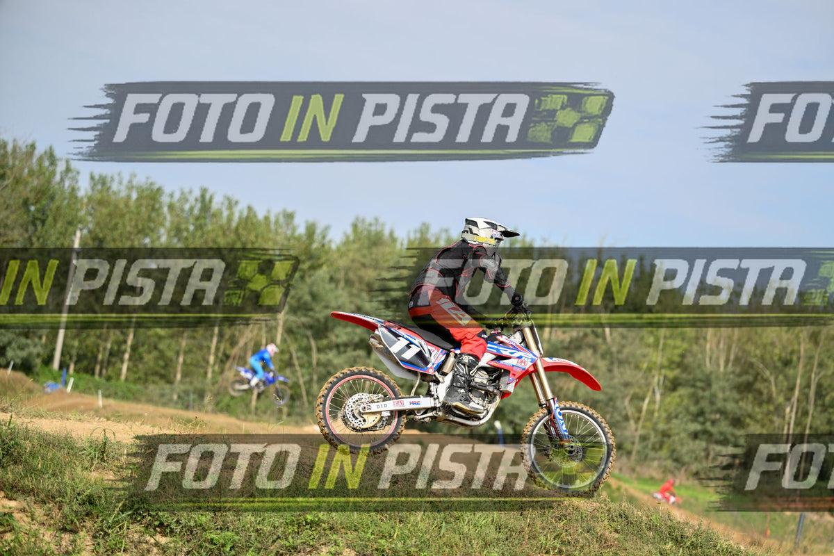 11 · DSH_2437-2