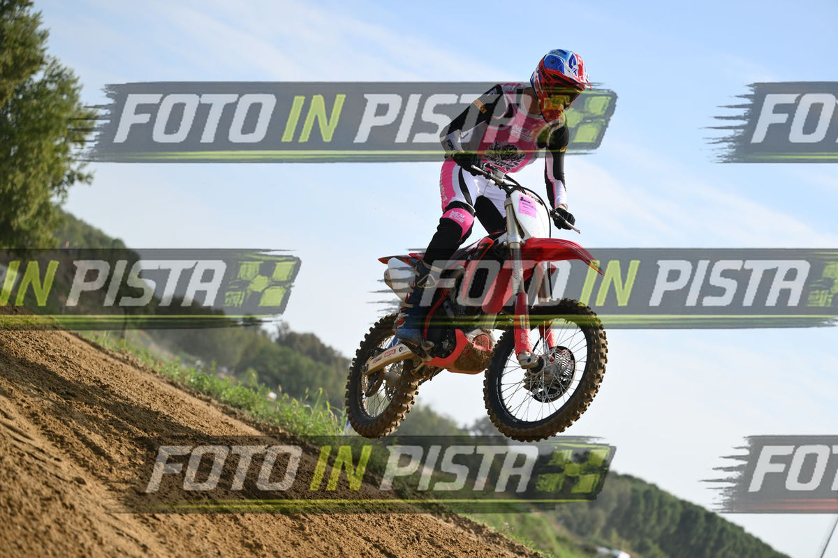 HONDA - PINK WHITE BLACK SHIRT · DSH_2463