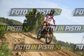 10 · DSH_2495