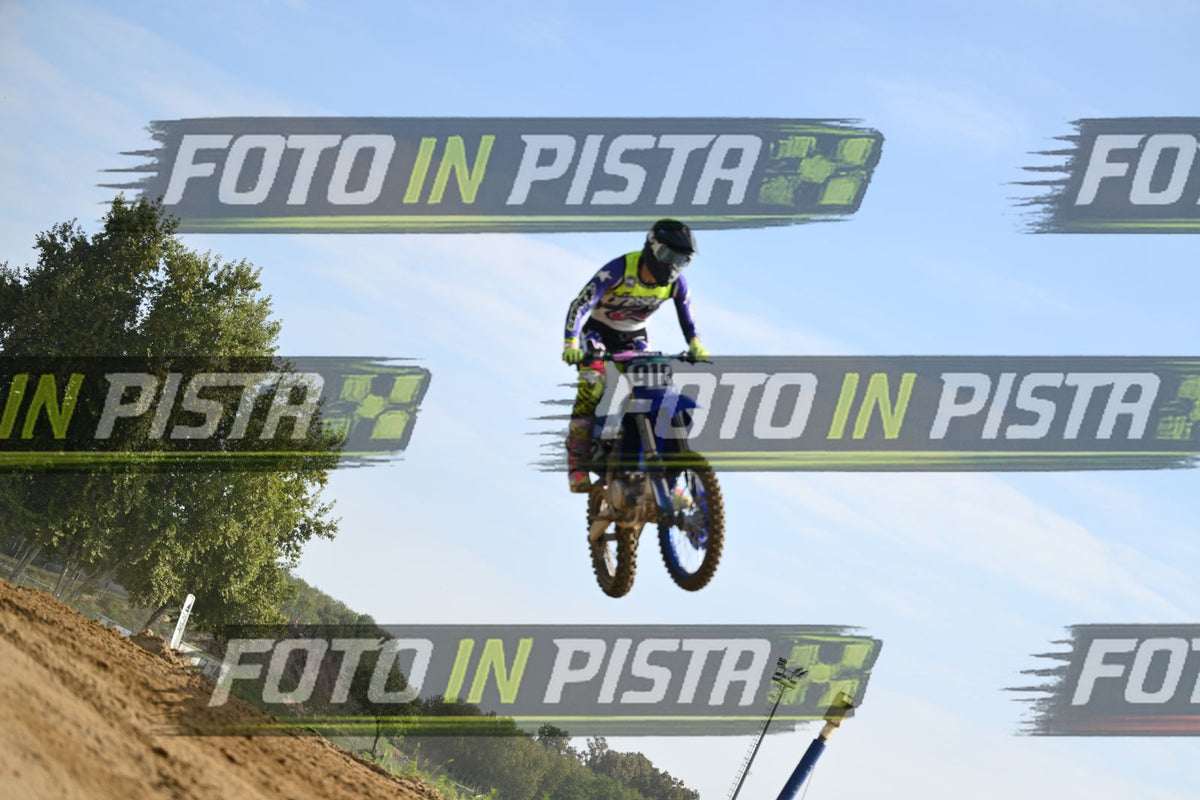 918 · DSH_2510