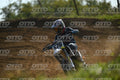 576 · DSH_2533