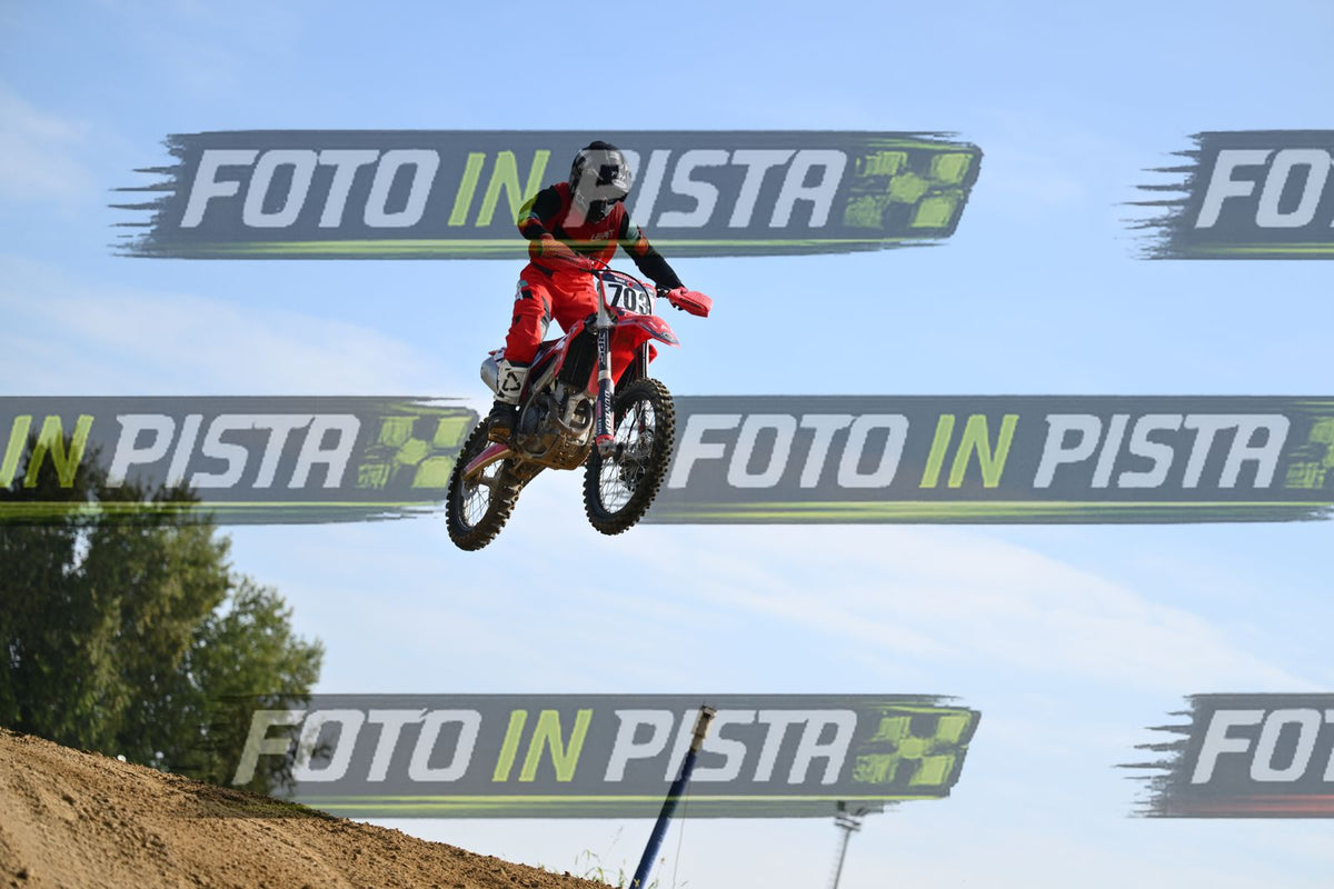 703 · DSH_2549