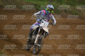 211 · DSH_2567