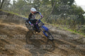 169 · DSH_2598