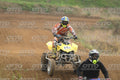 151 · DSH_2739