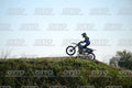 71 · DSH_2750