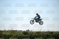 71 · DSH_2755