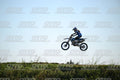 71 · DSH_2756