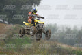 151 · DSH_2771