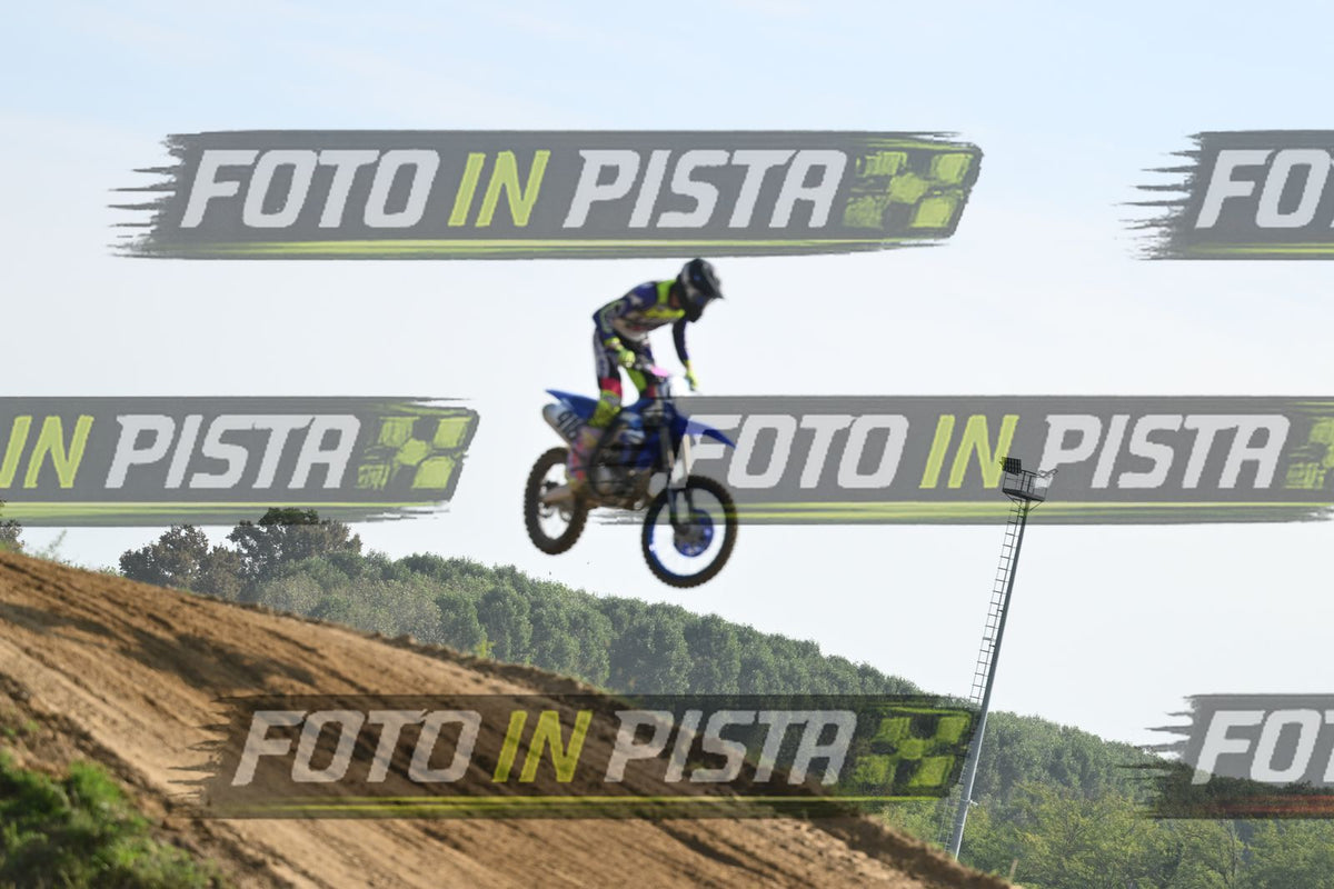 918 · DSH_2800