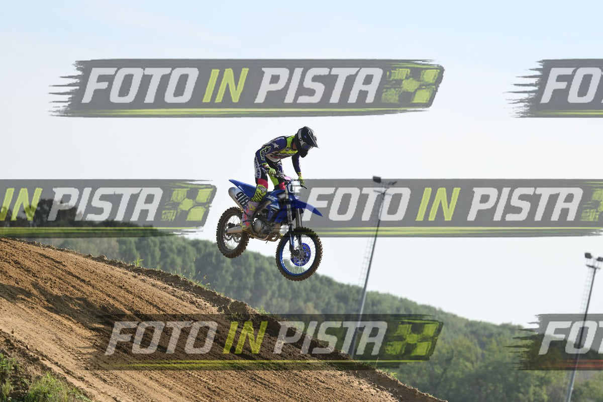 918 · DSH_2801