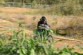 KX  450 · DSH_2807
