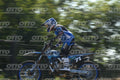 71 · DSH_2823