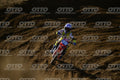 YOUNG 28 · DSH_2878