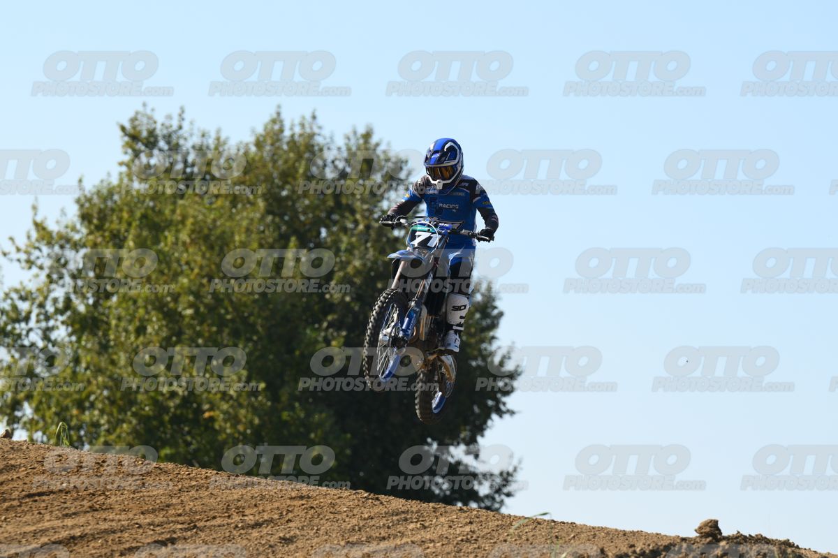 71 · DSH_2913