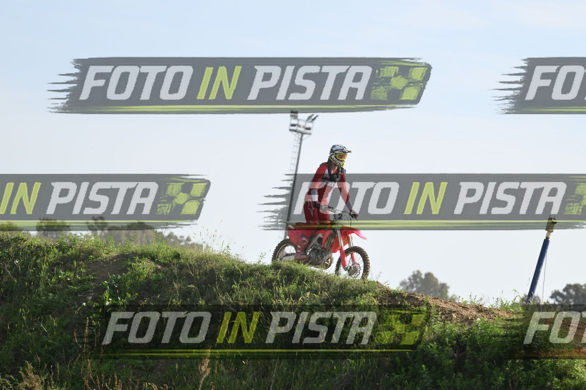 276 · DSH_2915