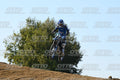 71 · DSH_2915
