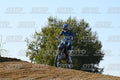 71 · DSH_2917