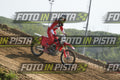 276 · DSH_2919