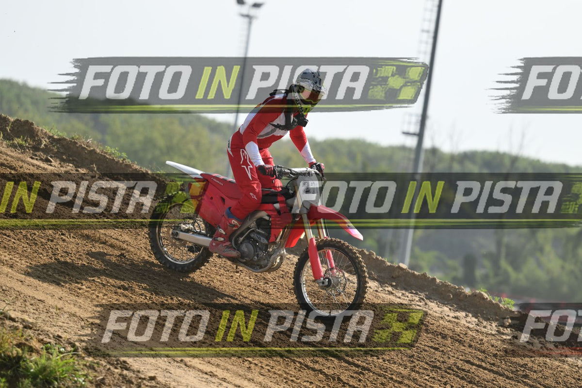 276 · DSH_2919